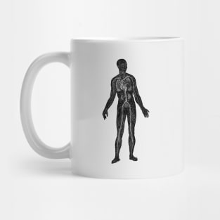 Lymphatic and Circulatory System - Vintage Anatomy Mug